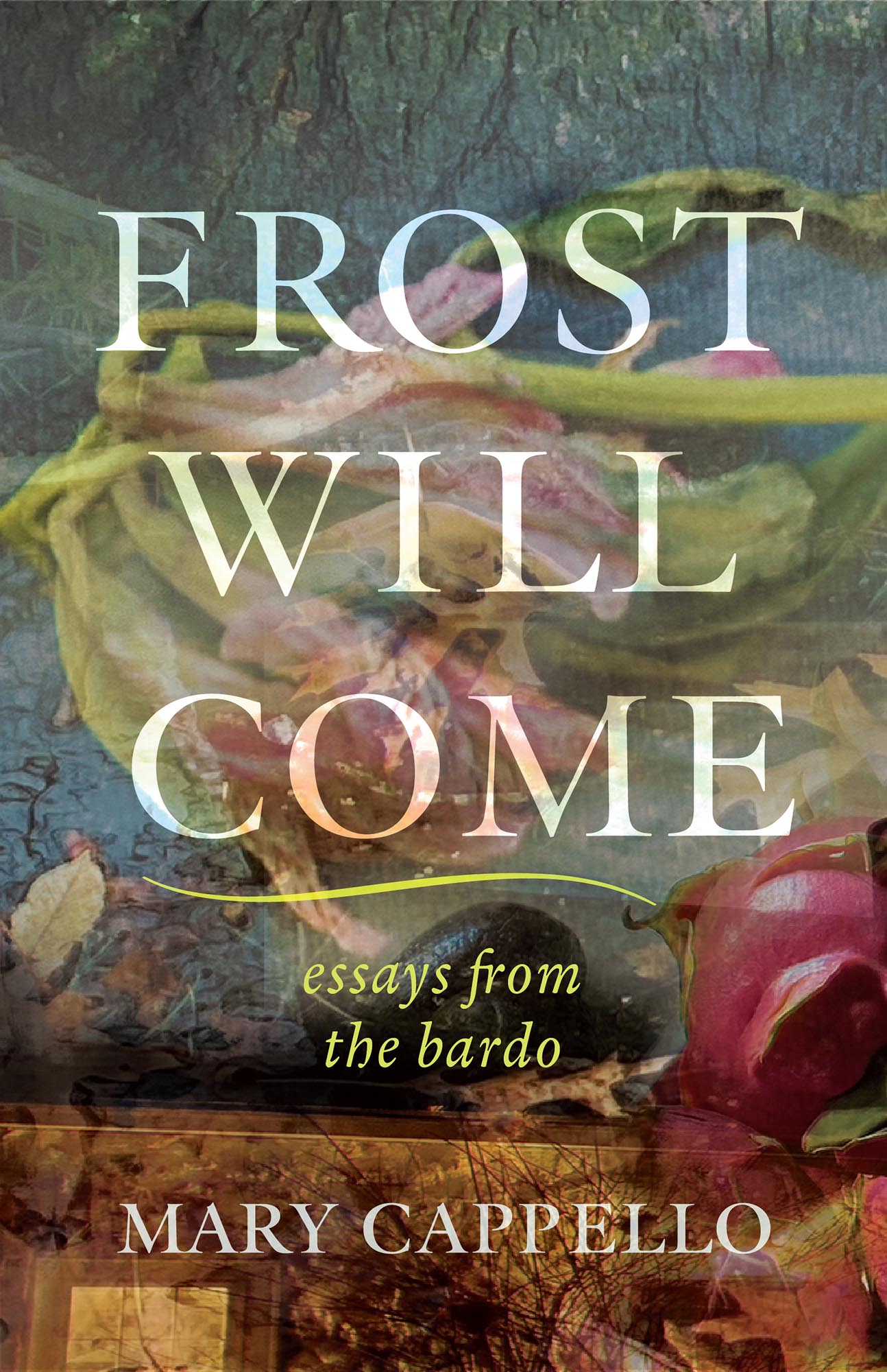 Frost Will Come/essays from the bardo by Mary Cappello